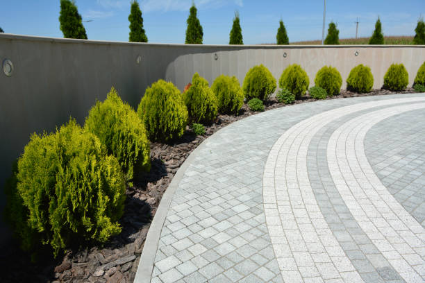 Best Driveway Pavers Near Me  in Sa De Oro Mount Helix, CA